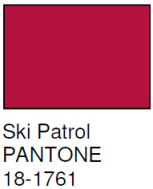 pantone ski patrol