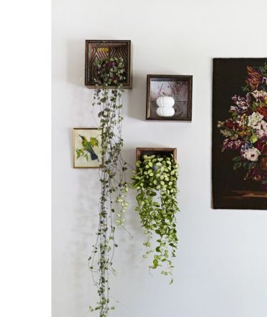 se lo spazio è davvero poco possiamo fare dei "quadri vegetali" via thedesignfiles.net