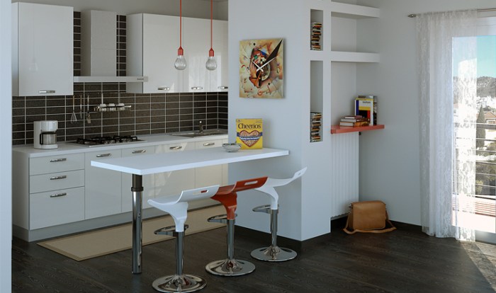 Iris lucida bianca: minimal e tecnica